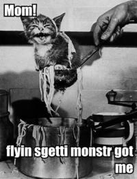 LOLcats