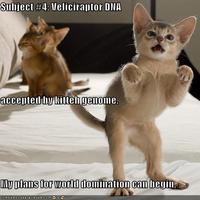 LOLcats