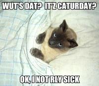LOLcats