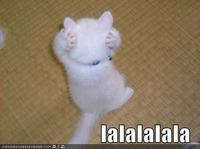 LOLcats