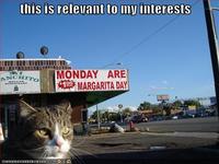 This is Relevant to My Interest