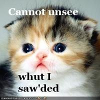 What Has Been Seen Cannot Be Unseen