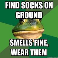 Foul Bachelor Frog