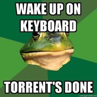 Foul Bachelor Frog