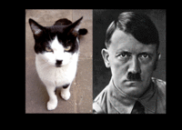 OMG Secret Nazi