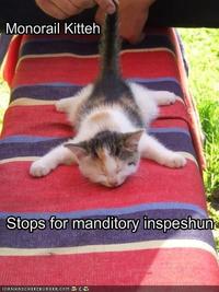 Monorail Cat