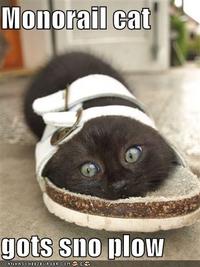 Monorail Cat