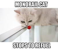 Monorail Cat
