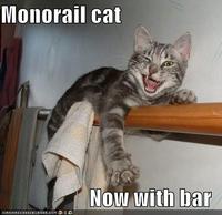 Monorail Cat