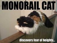 Monorail Cat
