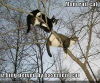 Monorail Cat