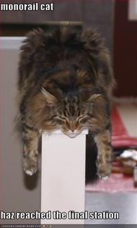 Monorail Cat
