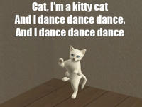 Kitty Cat Dance