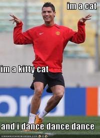 Kitty Cat Dance