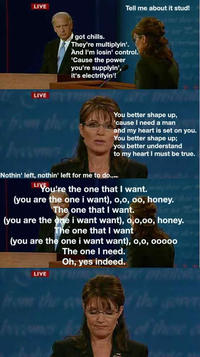 Biden / Palin Debate 4pane