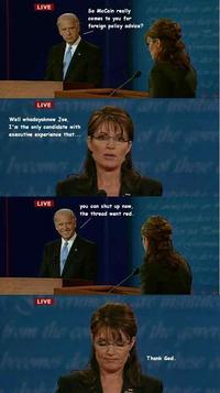 Biden / Palin Debate 4pane