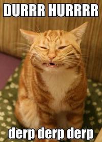 DERP