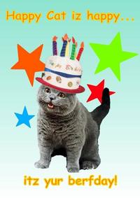 Happy Cat