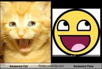 LOLcats