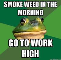 Foul Bachelor Frog