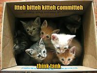 Itteh Bitteh Kitteh Committeh