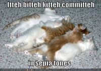 Itteh Bitteh Kitteh Committeh