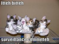 Itteh Bitteh Kitteh Committeh