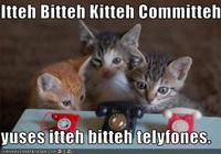Itteh Bitteh Kitteh Committeh