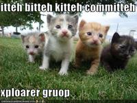 Itteh Bitteh Kitteh Committeh