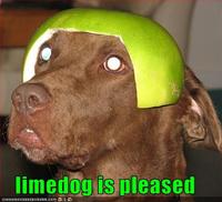 Limecat