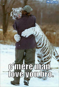 LOLcats