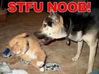 STFU