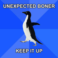 Socially Awkward Penguin