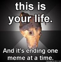 Depression Dog