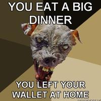 Cynical Dog