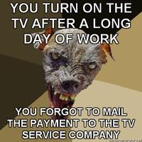 Cynical Dog