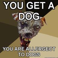 Cynical Dog