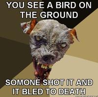 Cynical Dog
