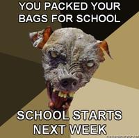 Cynical Dog