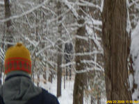 Slenderman