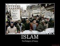Belief Discrimination Image Macros