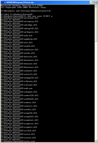 Delete System32