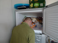 241543903 / Heads In Freezers