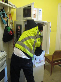 241543903 / Heads In Freezers