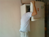 241543903 / Heads In Freezers