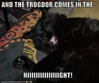 Trogdor