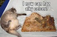 LOLcats