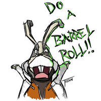 Do A Barrel Roll