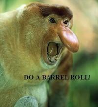 Do A Barrel Roll