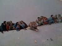 Sad_rat_sidewalk_14